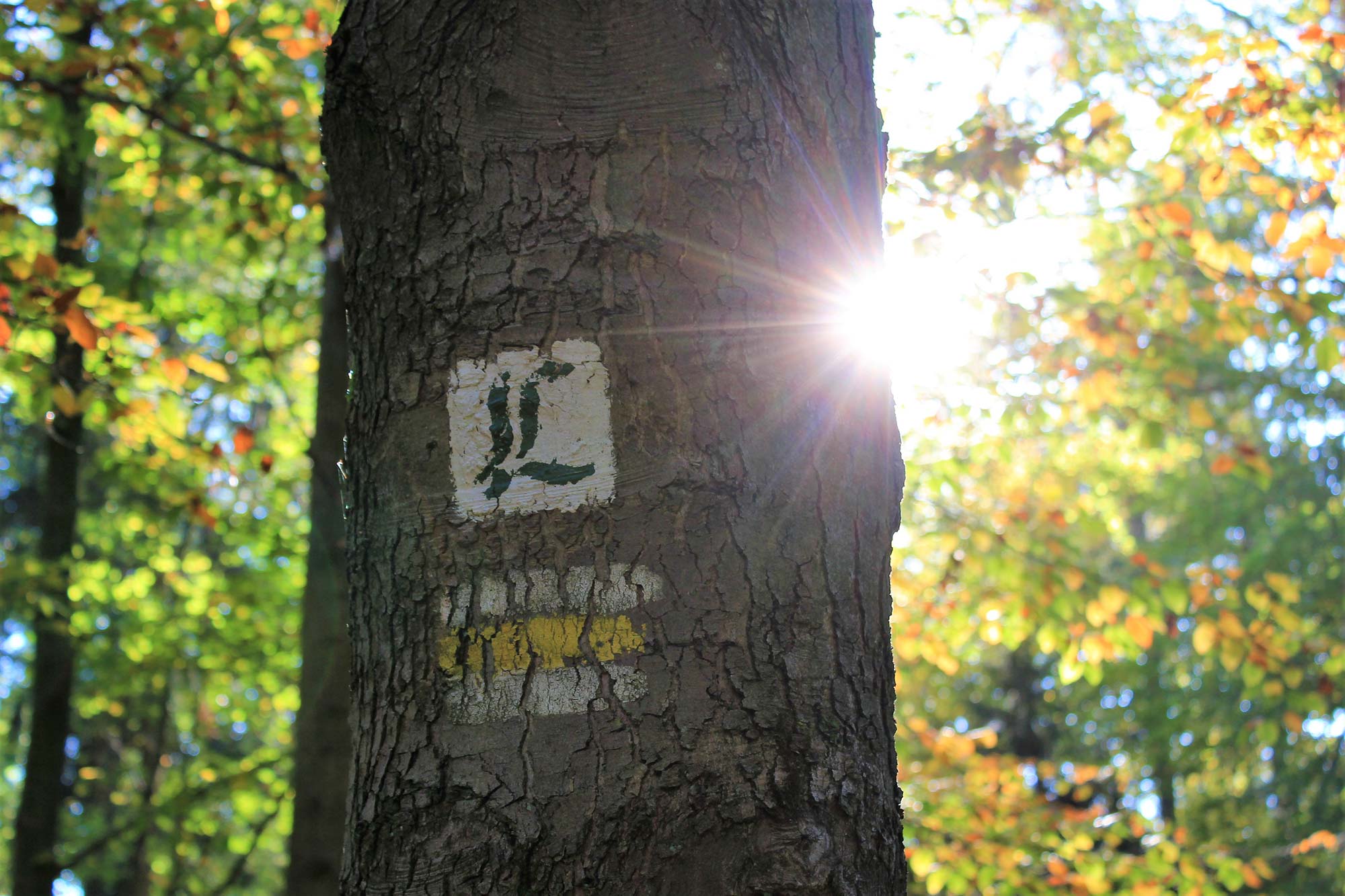 Lutherweg Sachsen