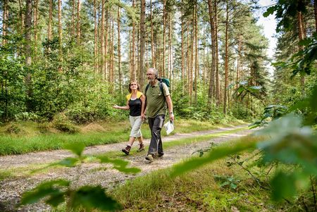 Das Bild zeigt ein älteres Ehepaar auf einem Wanderweg im lichten Wald.