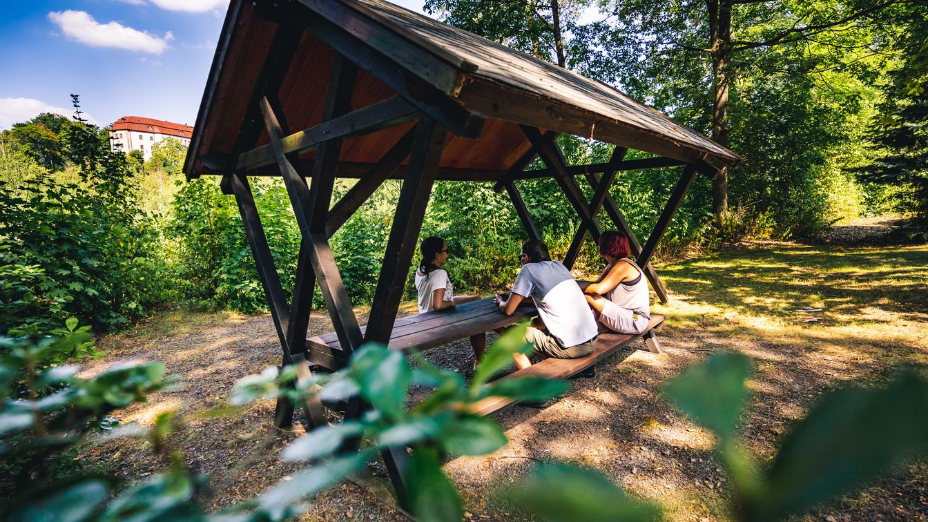 Rastplatz im Wald mit Sitzgelegenheit, umgeben von Bäumen, mit Blick auf Schloss Wolkenburg in der Ferne.