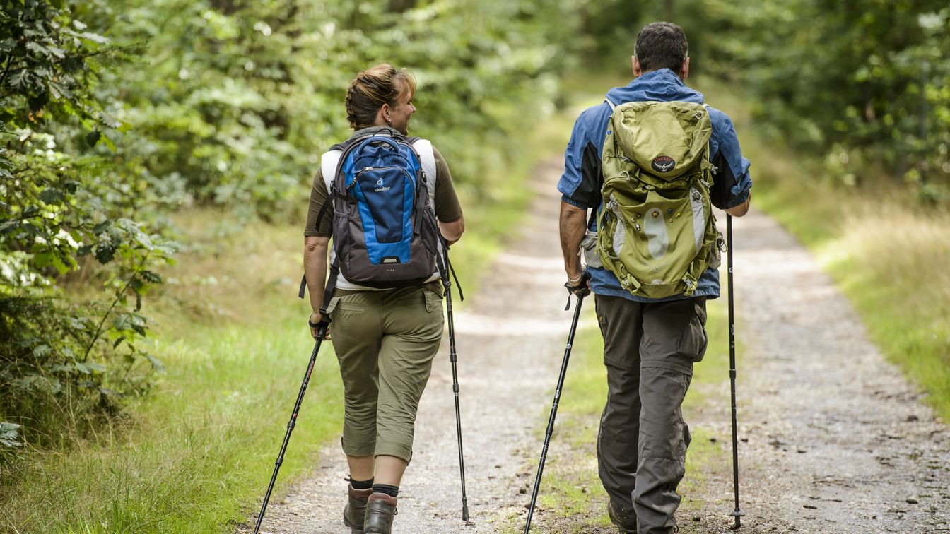 Zwei Wanderer auf einem Waldweg im sächsischen Heideland mit Rucksäcken und Outdoorbekleidung.