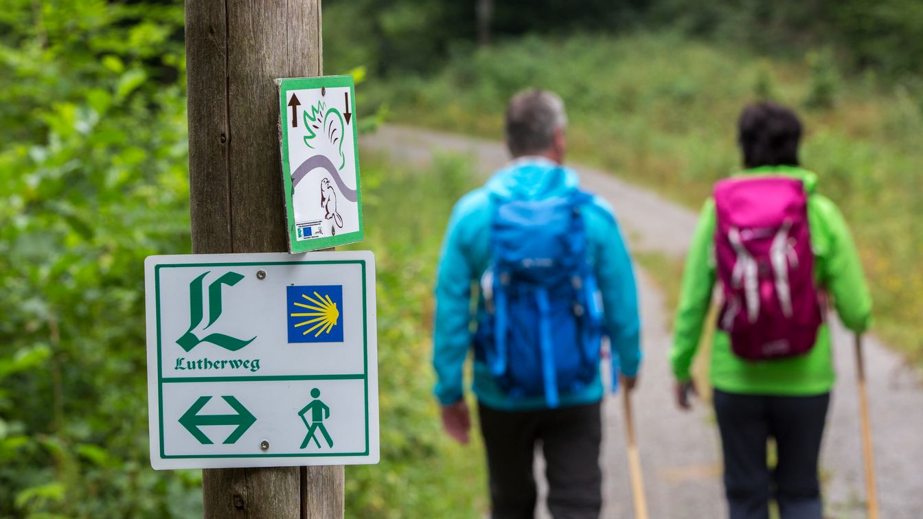 Das Bild zeigt zwei Wanderer, die auf der Billi-Bockert-Tour und dem Lutherweg Sachsen in der Nähe von Bad Düben unterwegs sind.