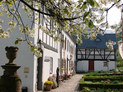 Blick auf das Museum "Alte Pfarrhäuser" mit Kirschblüten im Vordergund