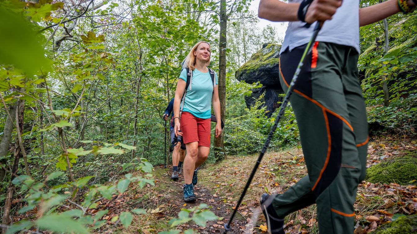 Drei Personen wandern auf einem schmalen Waldweg zwischen Bäumen hintereinander. 
