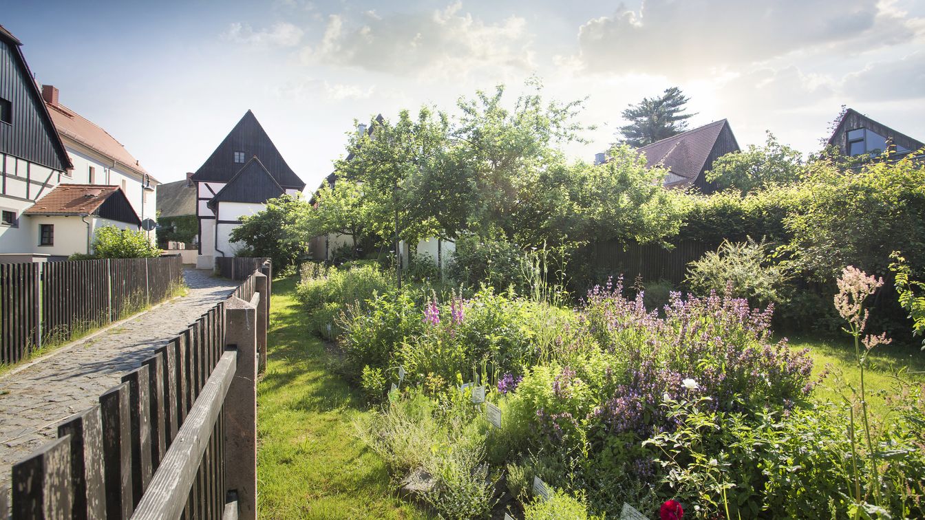 Das Urlaubsdorf Höfgen ist idyllisch im Süden von Grimma gelegen. Mit viel Grün ringsrum kann das Dorf mit allen Sinnen erkundet werden.