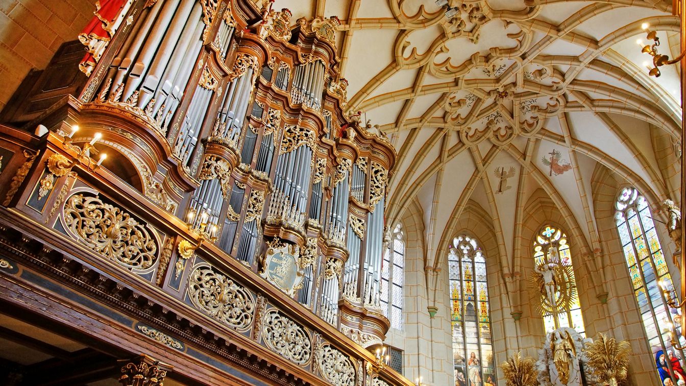 Blick auf das prächtigen Orgelprospekt Trostorgel in der Schlosskirche Altenburg